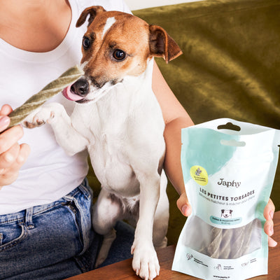 Où trouver les rations à donner à mon chien ? – Japhy