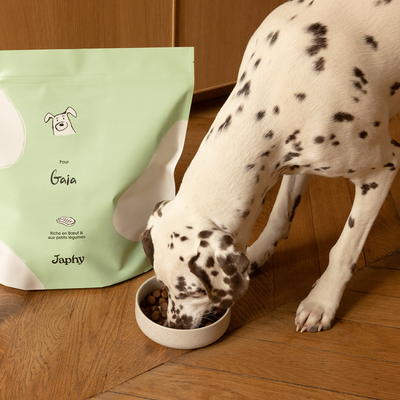 Croquettes Boeuf pour chien stérilisé 8-25kg