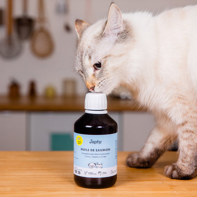 8 bienfaits de l'huile de saumon pour chat - Just Russel